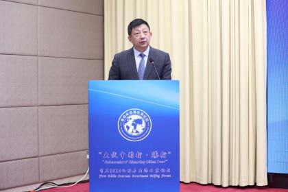 全速出海，臺鈴全球化再獲贊譽！